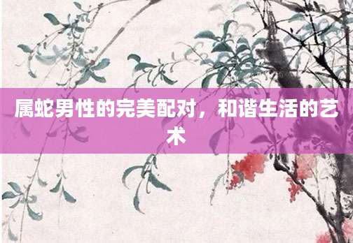 属蛇男性的完美配对，和谐生活的艺术