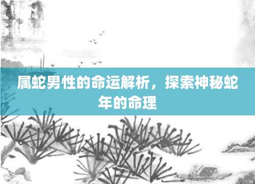 属蛇男性的命运解析，探索神秘蛇年的命理