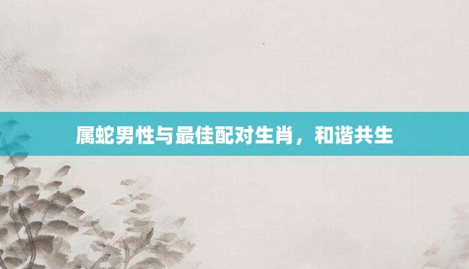 属蛇男性与最佳配对生肖，和谐共生