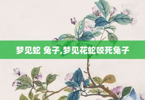 梦见蛇 兔子,梦见花蛇咬死兔子
