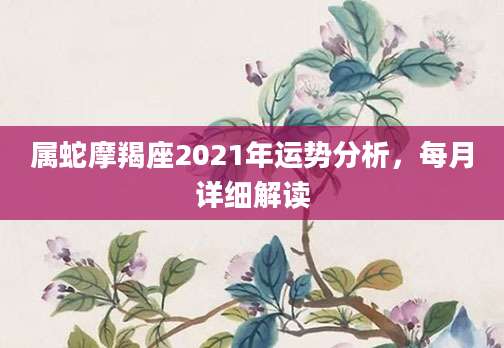 属蛇摩羯座2021年运势分析，每月详细解读