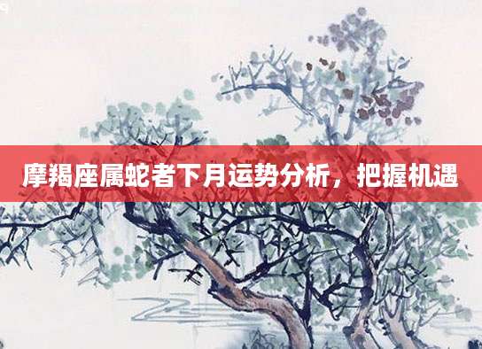 摩羯座属蛇者下月运势分析，把握机遇