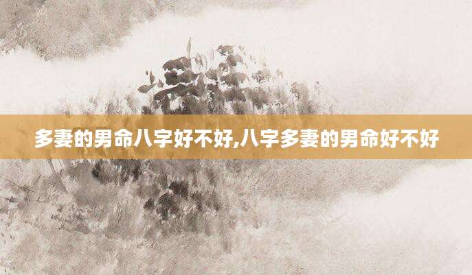 多妻的男命八字好不好,八字多妻的男命好不好
