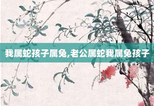 我属蛇孩子属兔,老公属蛇我属兔孩子