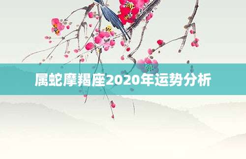 属蛇摩羯座2020年运势分析