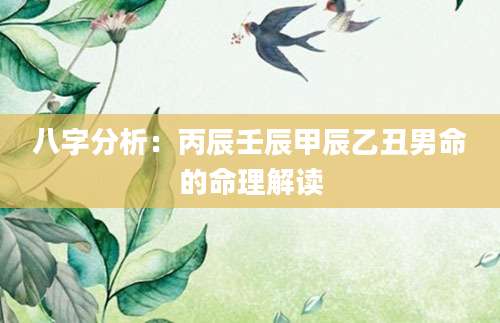 八字分析：丙辰壬辰甲辰乙丑男命的命理解读