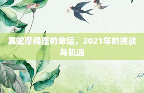 属蛇摩羯座的命运，2021年的挑战与机遇