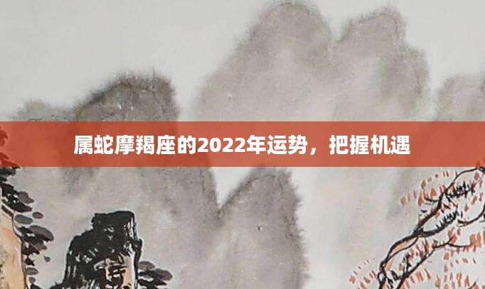 属蛇摩羯座的2022年运势，把握机遇