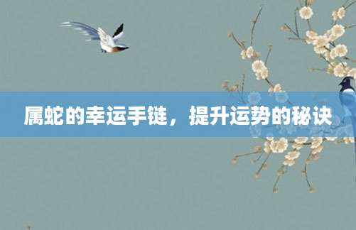 属蛇的幸运手链，提升运势的秘诀