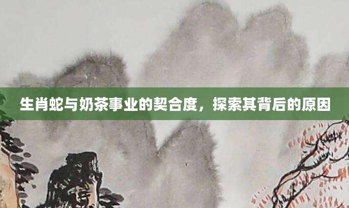 生肖蛇与奶茶事业的契合度，探索其背后的原因