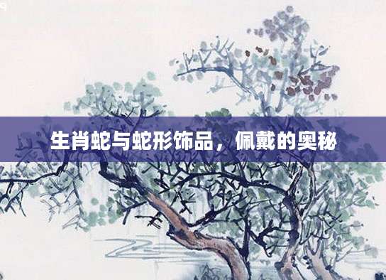 生肖蛇与蛇形饰品，佩戴的奥秘