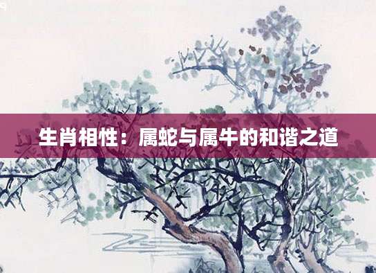 生肖相性：属蛇与属牛的和谐之道