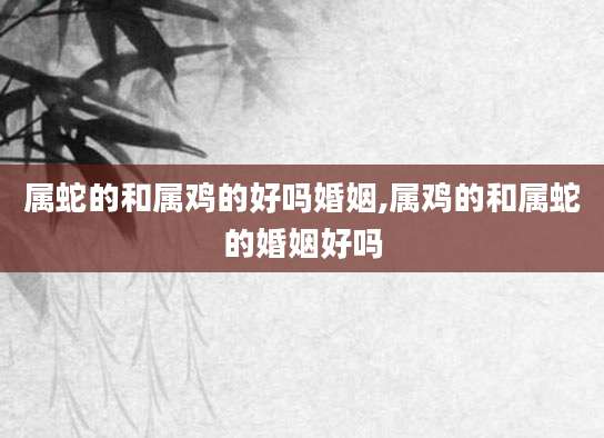 属蛇的和属鸡的好吗婚姻,属鸡的和属蛇的婚姻好吗