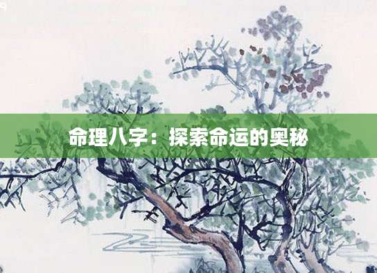 命理八字：探索命运的奥秘