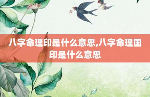 八字命理印是什么意思,八字命理国印是什么意思
