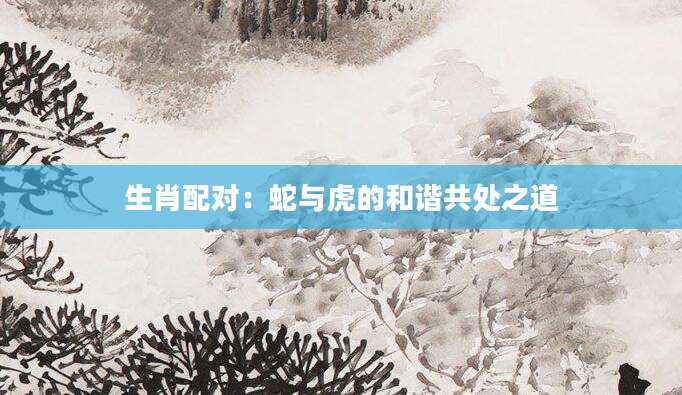 生肖配对：蛇与虎的和谐共处之道