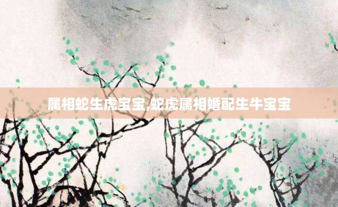 属相蛇生虎宝宝,蛇虎属相婚配生牛宝宝