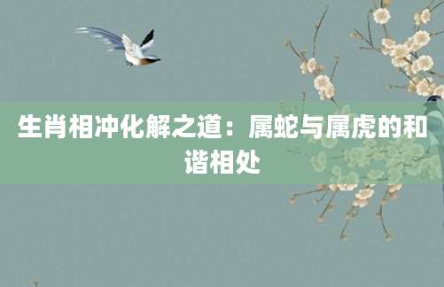 生肖相冲化解之道：属蛇与属虎的和谐相处