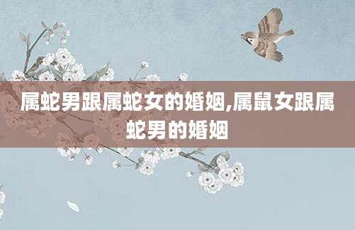 属蛇男跟属蛇女的婚姻,属鼠女跟属蛇男的婚姻