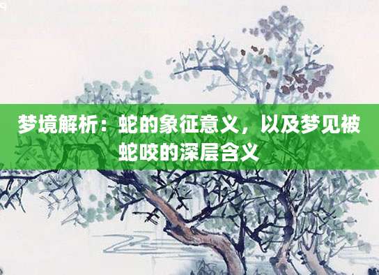 梦境解析：蛇的象征意义，以及梦见被蛇咬的深层含义