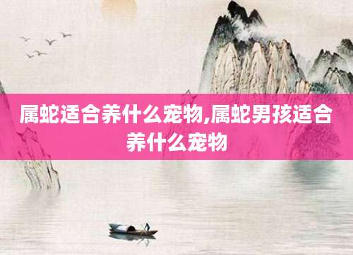 属蛇适合养什么宠物,属蛇男孩适合养什么宠物