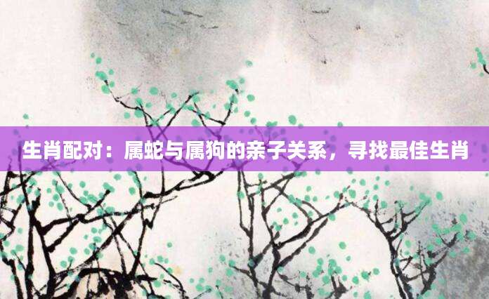 生肖配对：属蛇与属狗的亲子关系，寻找最佳生肖
