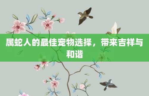 属蛇人的最佳宠物选择，带来吉祥与和谐