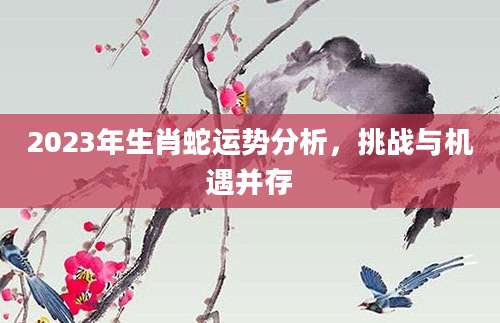 2023年生肖蛇运势分析，挑战与机遇并存