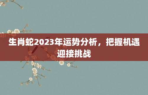 生肖蛇2023年运势分析，把握机遇迎接挑战