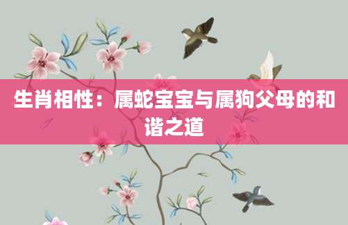生肖相性：属蛇宝宝与属狗父母的和谐之道