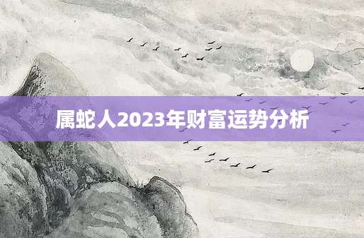 属蛇人2023年财富运势分析