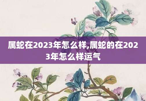 属蛇在2023年怎么样,属蛇的在2023年怎么样运气
