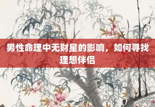 男性命理中无财星的影响，如何寻找理想伴侣