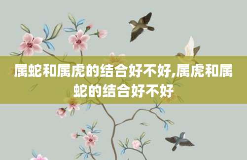 属蛇和属虎的结合好不好,属虎和属蛇的结合好不好