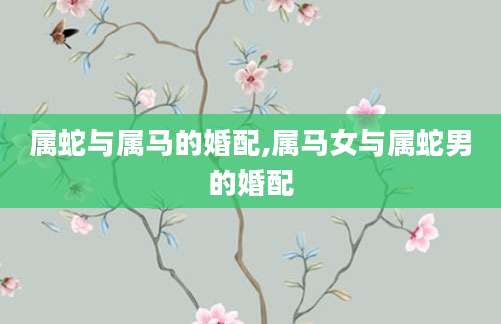 属蛇与属马的婚配,属马女与属蛇男的婚配