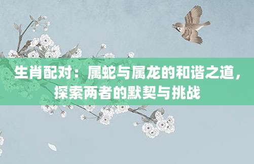 生肖配对：属蛇与属龙的和谐之道，探索两者的默契与挑战