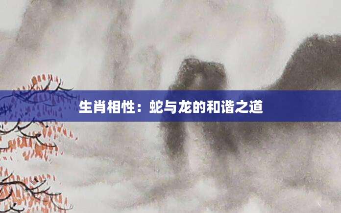 生肖相性：蛇与龙的和谐之道