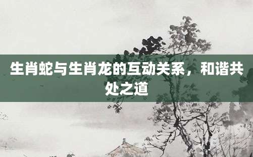 生肖蛇与生肖龙的互动关系，和谐共处之道