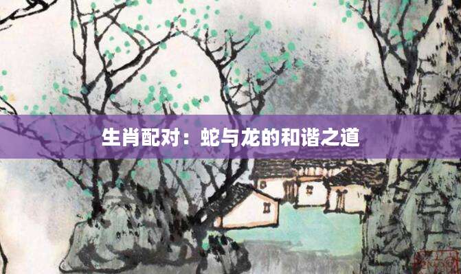 生肖配对：蛇与龙的和谐之道