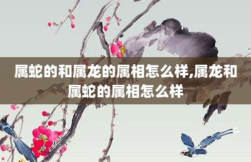 属蛇的和属龙的属相怎么样,属龙和属蛇的属相怎么样