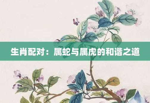 生肖配对：属蛇与属虎的和谐之道