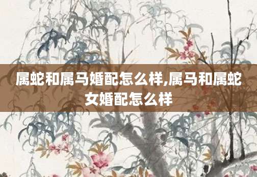 属蛇和属马婚配怎么样,属马和属蛇女婚配怎么样