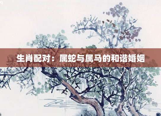 生肖配对：属蛇与属马的和谐婚姻