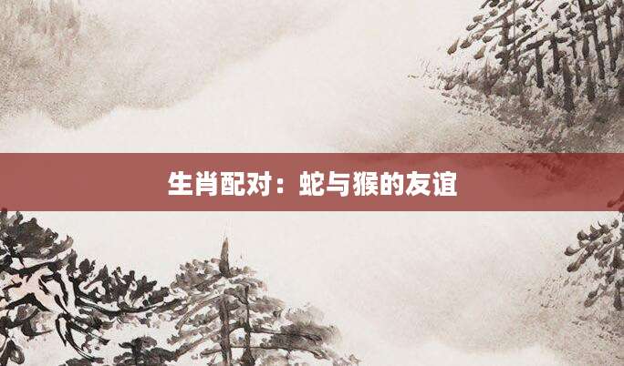 生肖配对：蛇与猴的友谊