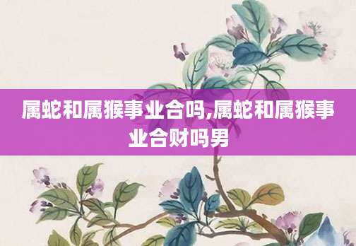 属蛇和属猴事业合吗,属蛇和属猴事业合财吗男