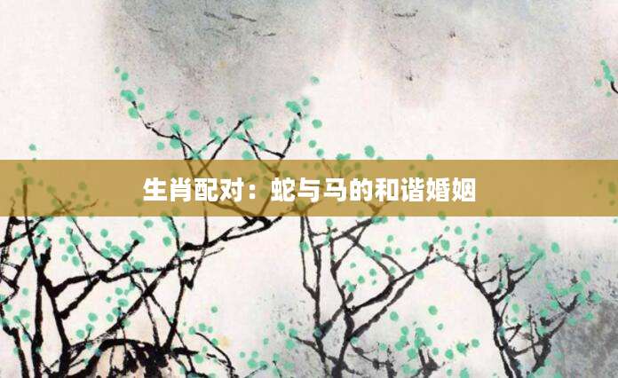 生肖配对：蛇与马的和谐婚姻