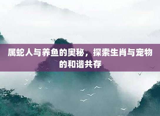 属蛇人与养鱼的奥秘，探索生肖与宠物的和谐共存