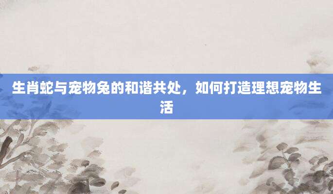 生肖蛇与宠物兔的和谐共处，如何打造理想宠物生活