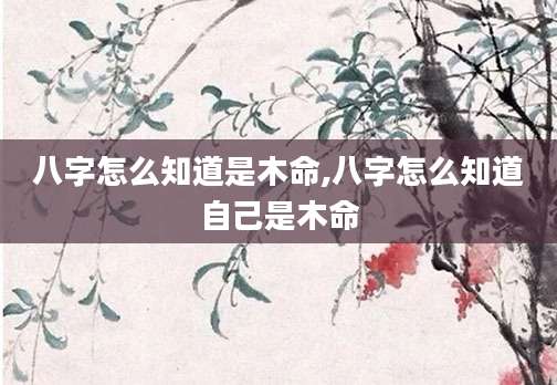 八字怎么知道是木命,八字怎么知道自己是木命