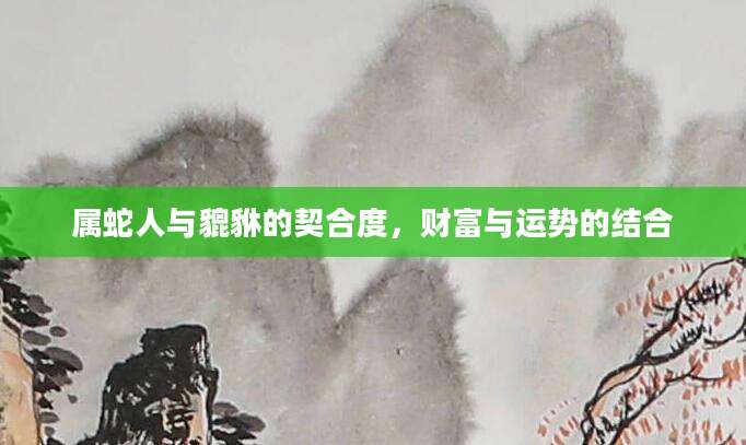 属蛇人与貔貅的契合度，财富与运势的结合